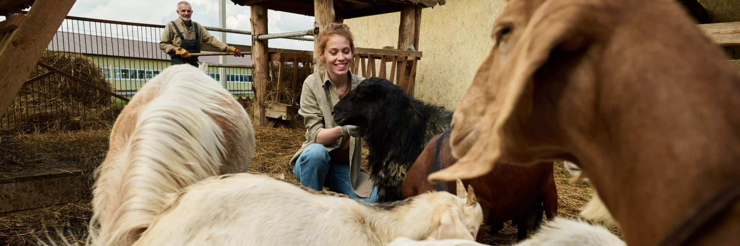 AnyConv.com__mloda-farmerka-karmiaca-kozy