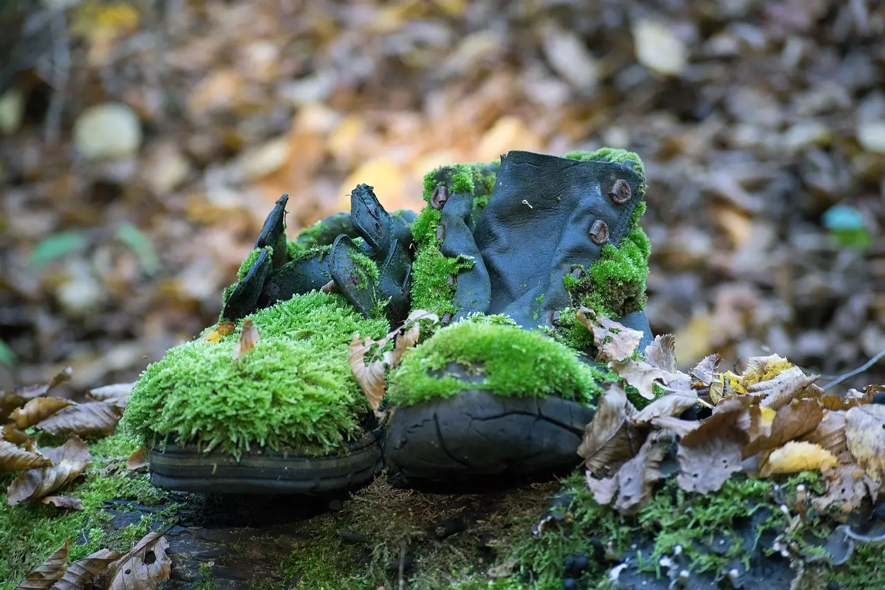 wool-and-leather-production-positively-contribute-to-the-environment