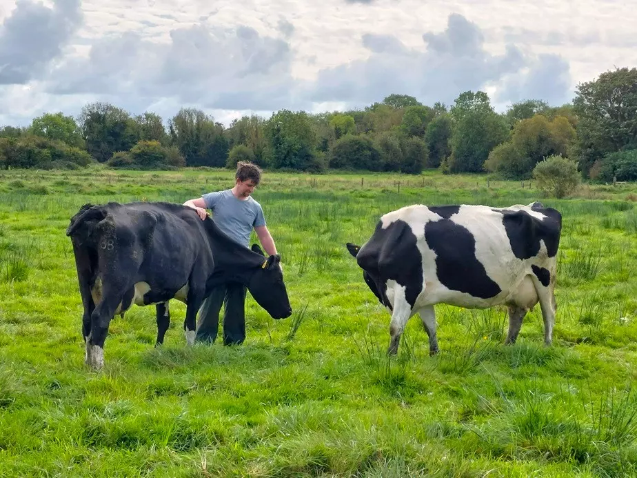 how-to-ensure-a-sustainable-future-for-the-livestock-sector-in-the-EU